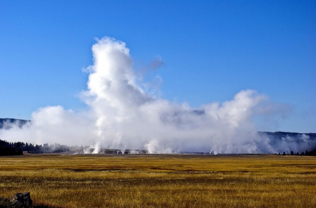 Water Conservation Techniques In The Great Basin » A Thirsty…