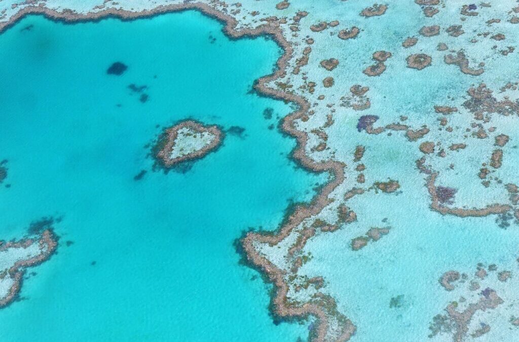Water Conservation Techniques In The Great Basin / The Laguna…