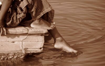 Water Cycle Management In Urban Areas | The Great Salt…