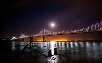 Water Cycle Management In Urban Areas – The Great Basin’s…