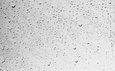 Water Cycle Restoration Projects » 💦 The Great Basin: A…