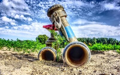 Water-efficient Irrigation Techniques ~ Water In The West: A Balancing…