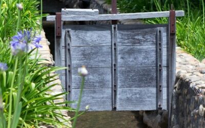 Water-efficient Irrigation Techniques: The Great Basin: A Land Of Beauty,…