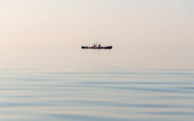Water Reclamation ~ Saving A Desert Oasis: The Laguna Salada…
