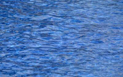 Water Reclamation – The Laguna Salada’s Water Story: A Desert…