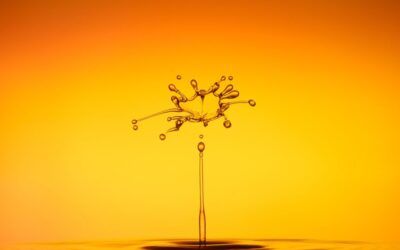 Water Relocation Solutions | Trees, Soil, And Water: A Climate…