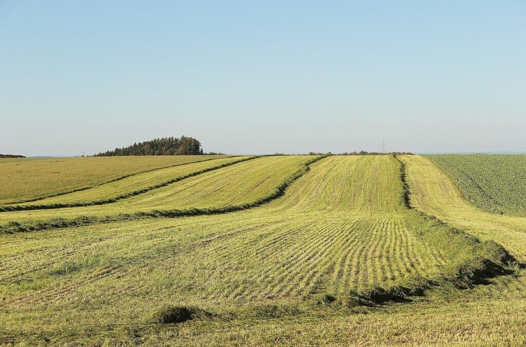 Water Scarcity Solutions For Agriculture: The Great Basin: A Land…