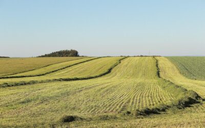 Water Scarcity Solutions For Agriculture: The Great Basin: A Land…