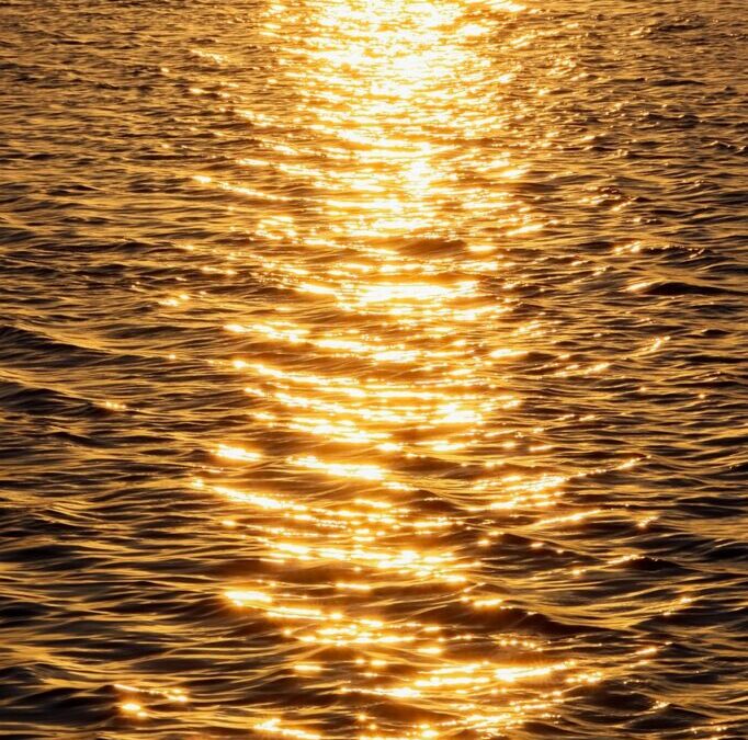 Water Scarcity Solutions » The Thirsty Land: New Mexico’s Water…