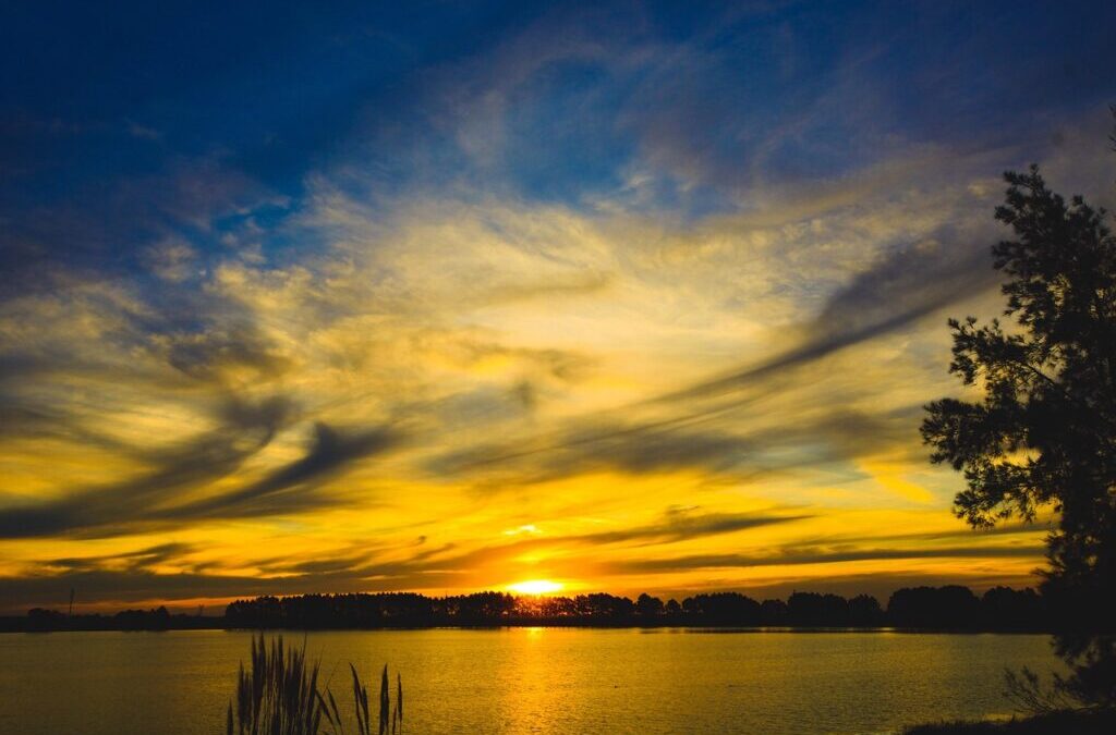 Water Treatment Solutions For Laguna Salada ~ The Laguna Salada:…