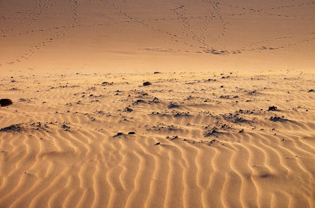 Great Basin Desert | A Lake In The Desert: The…