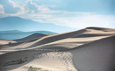 Great Basin Desert » The Great Basin’s Secret Oasis: How…