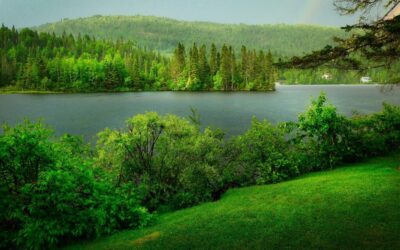 Great Basin Region Climate » Arizona’s Wild Ride: A Desert’s…