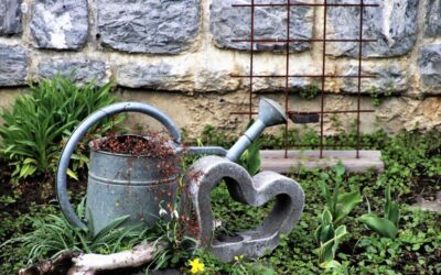 How Can Moving The Water Correct Years Of Drought? »…