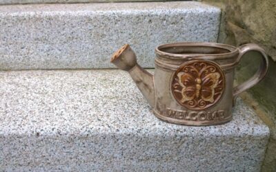 How Can Moving The Water Correct Years Of Drought? ~…