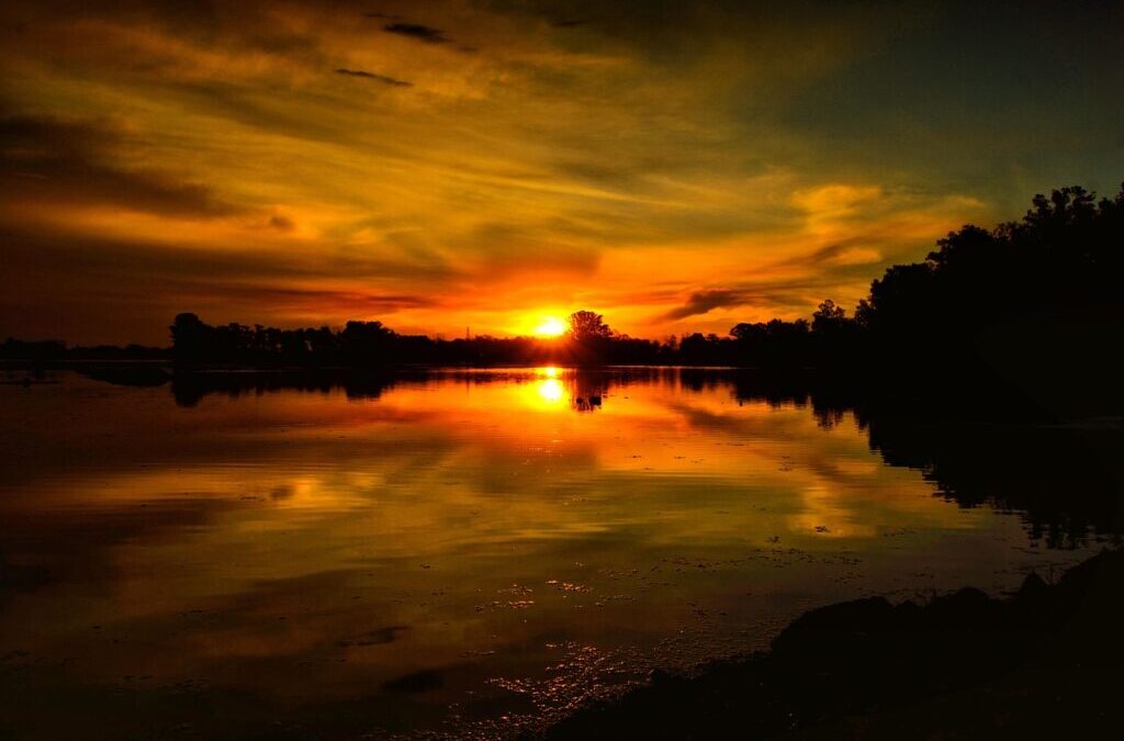 Laguna Salada Mexicali – Laguna Salada: A Desert Oasis Facing…