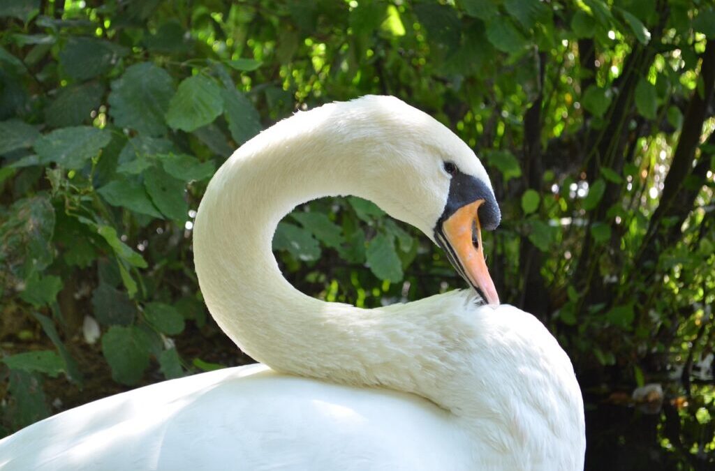 Laguna Salada Mexicali ~ The Laguna Salada: A Desert Oasis…