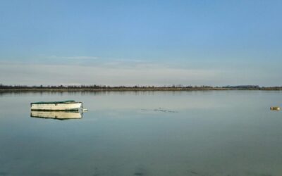 Laguna Salada Mexico: The Laguna Salada: A Desert Oasis Facing…