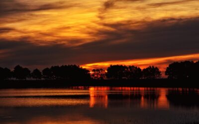 Laguna Salada: A Sea Of Secrets: Unlocking The Mysteries Of…