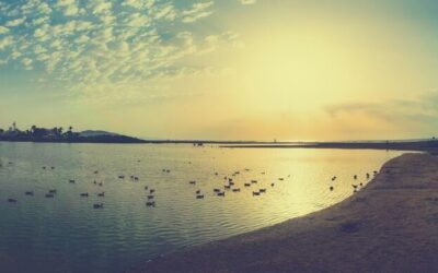Laguna Salada: 💦 Laguna Salada: A Desert Oasis Facing A…