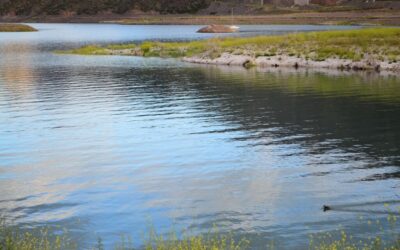 Laguna Salada: The Laguna Salada: A Story Of Water, Climate…
