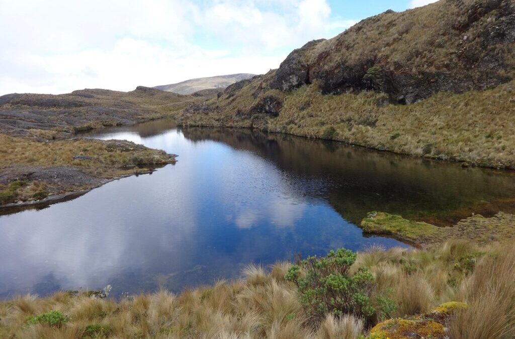 Laguna Salda ~ The Drying Heart Of Baja: Can We…