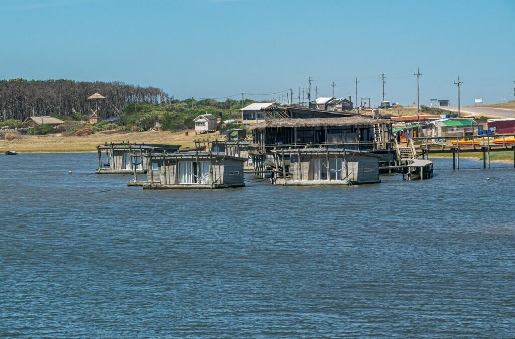 Laguna Salda » The Desert Oasis: Laguna Salada’s Fight For…