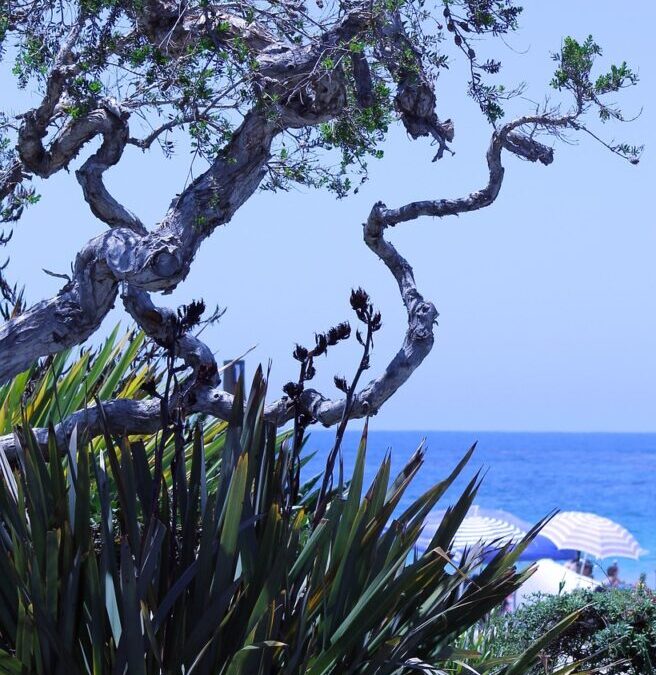 Laguna Salda ~ Laguna Salada: A Desert Oasis In Peril…