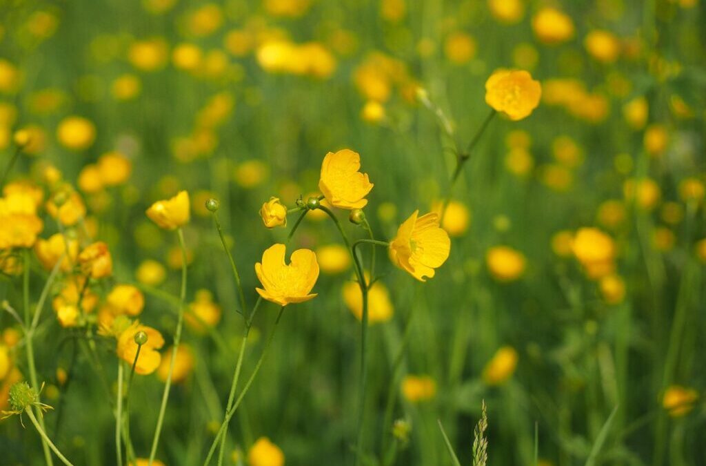 Movethewater, / 🌎💧 Saving Our Planet, One Drop At A…