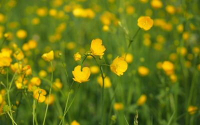 Movethewater, / 🌎💧 Saving Our Planet, One Drop At A…