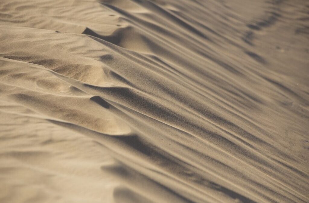 The Great Basin Desert – The Great Basin’s Water Crisis:…