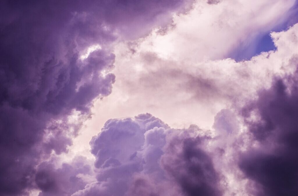 Active Climate Rescue Initiative ~ The Laguna Salada’s Water Journey:…