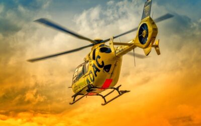 Active Climate Rescue Initiative – Saving The Laguna Salada: A…