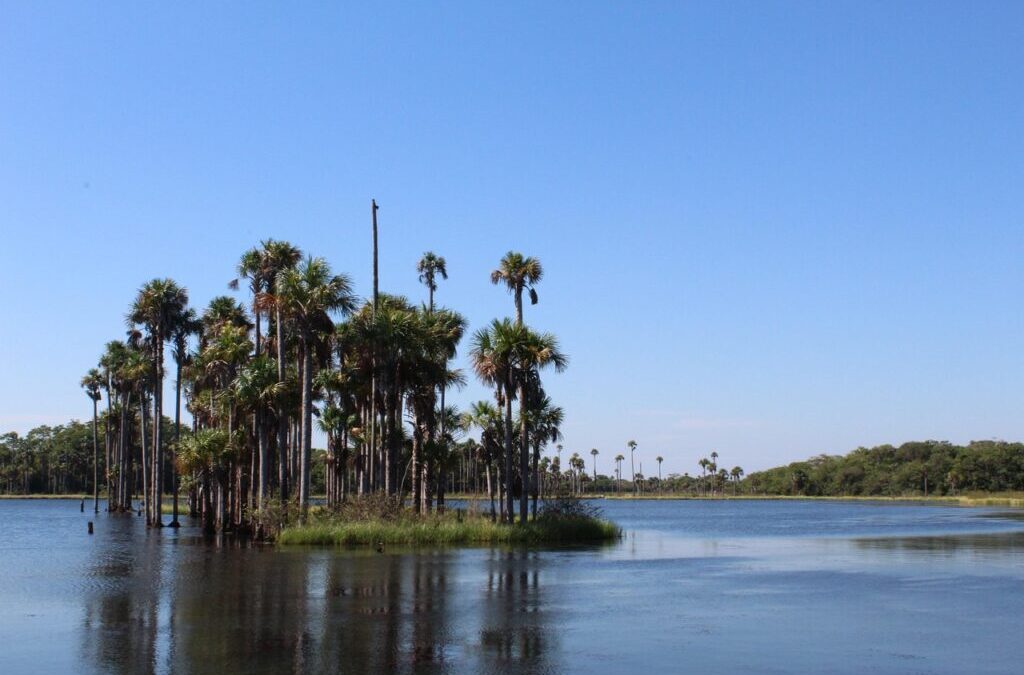 Benefits Of Water Reclamation In Laguna Salada: The Laguna Salada’s…