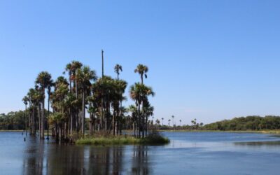 Benefits Of Water Reclamation In Laguna Salada: The Laguna Salada’s…