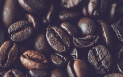 Benefits Of Water Reclamation In Laguna Salada » The Secret…