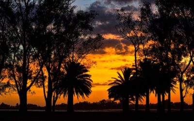 Benefits Of Water Reclamation In Laguna Salada | The Laguna…