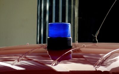 Call To Action For Readers To Support Conservation Efforts /…