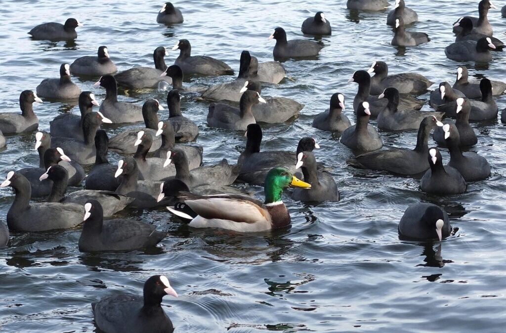 Climate Adaptation Strategies: Delve Into How Communities And Industries Are…