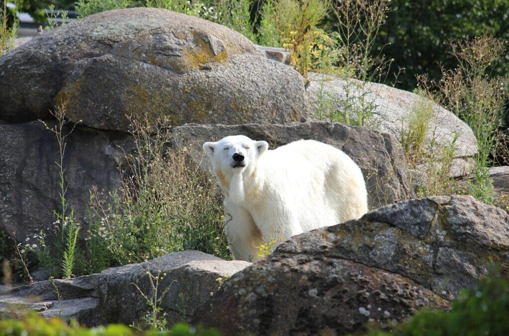 Climate Change Impact On Great Basin | The Laguna Salada:…