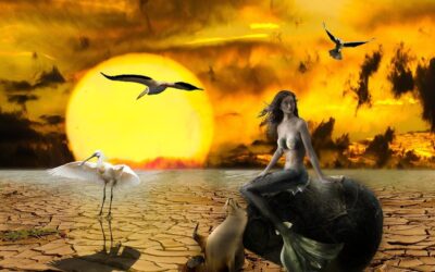 Climate Rescue And Policy Change ~ Saving Our Planet: Utah’s…