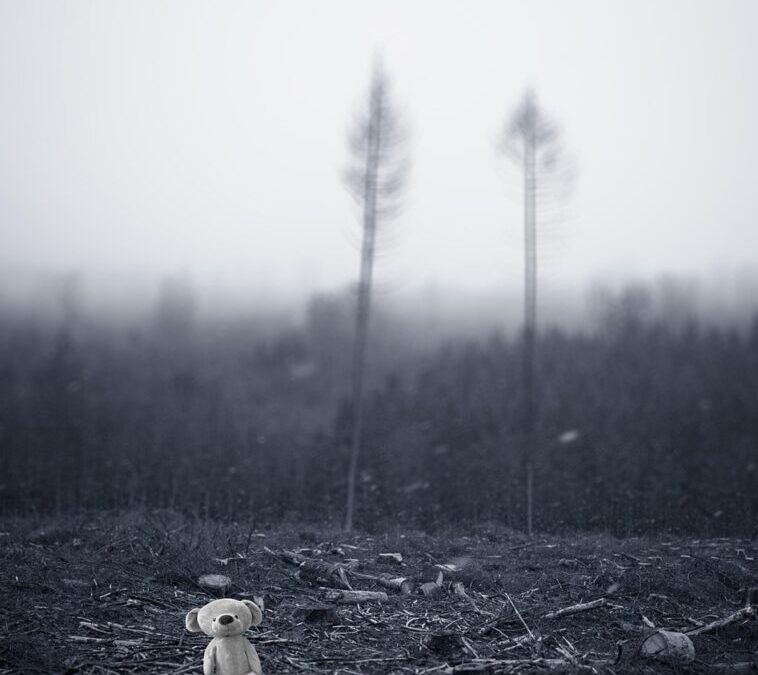 Climate Resilience Strategies For The Great Basin / Laguna Salada:…