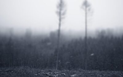 Climate Resilience Strategies For The Great Basin / Laguna Salada:…