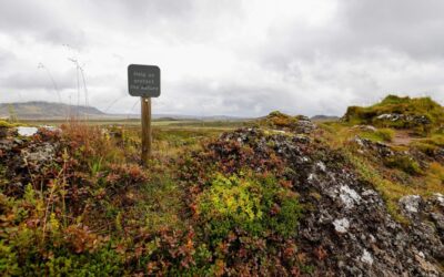 Climate Resilience ~ The Laguna Salada: A Desert Oasis In…