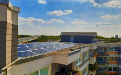 Climate Resilience – Journey Of Water: The Laguna Salada’s Hidden…