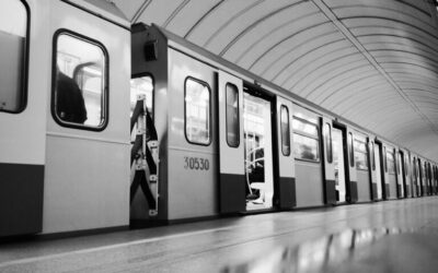 Collaboration Between Researchers, Policymakers, And The Public | The Great…