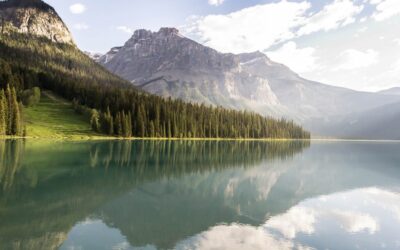 Colorado River, » Dive Into The Colorado River: A Lifeline…