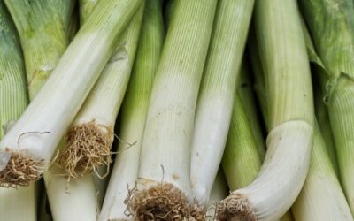 Crop Shifting And Drought-resistant Crops: The Great Salt Lake: A…