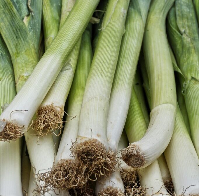 Crop Shifting And Drought-resistant Crops: The Great Salt Lake: A…