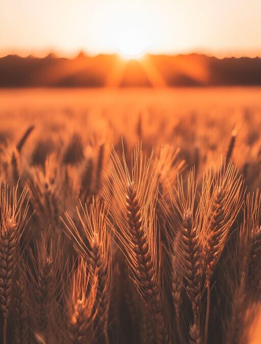 Crop Shifting And Drought-resistant Crops ~ The Great Salt Lake:…
